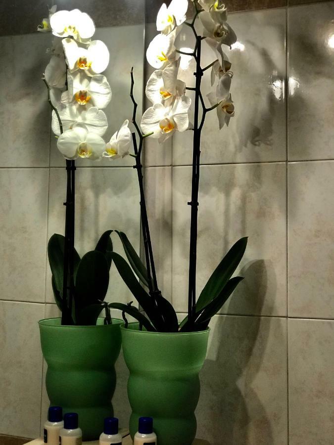 Cute Flat - Best Price - Wi Fi - Ac - Tv Firenze Esterno foto